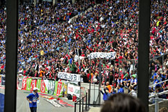 Hertha BSC vs FC Augsburg 2:1 vom 15.05.2011
